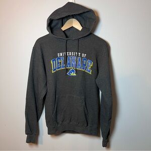 Delaware Fightin’ Blue Hens Hoodie Men’s S Champion Gray Sweatshirt Pullover